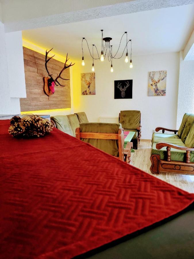 Tache Villa 1 Poiana Brasov Εξωτερικό φωτογραφία