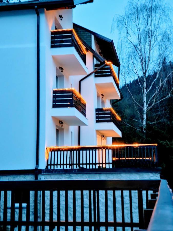 Tache Villa 1 Poiana Brasov Εξωτερικό φωτογραφία